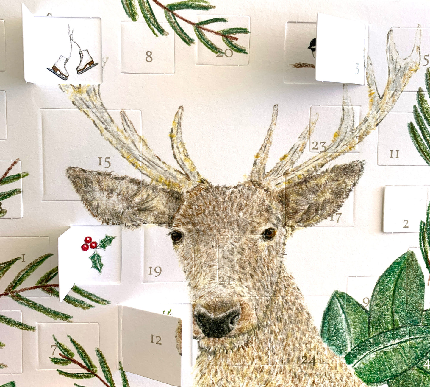 Deer Advent Card