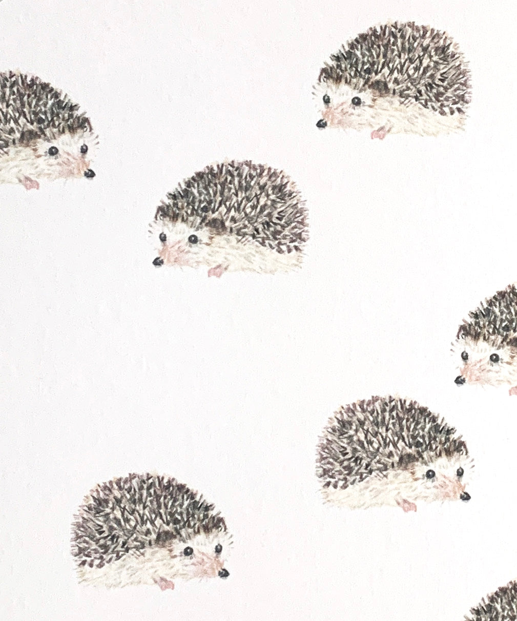 Hedgie Card - Bundle of 3