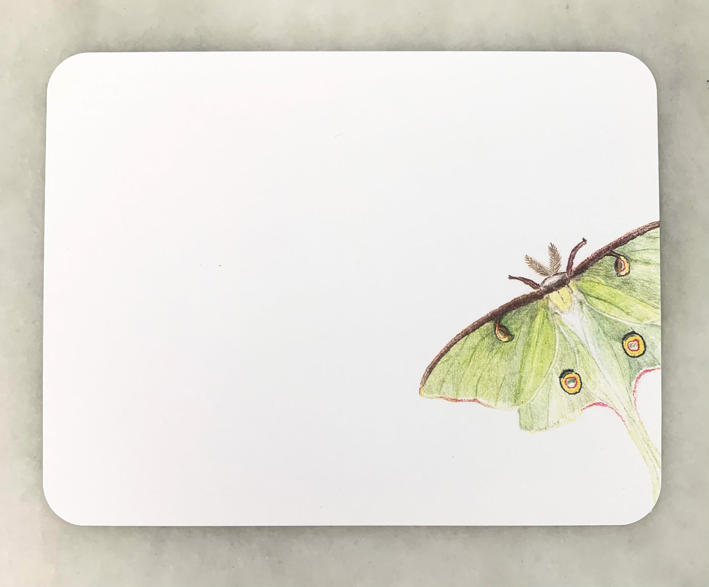 Luna Moth Card