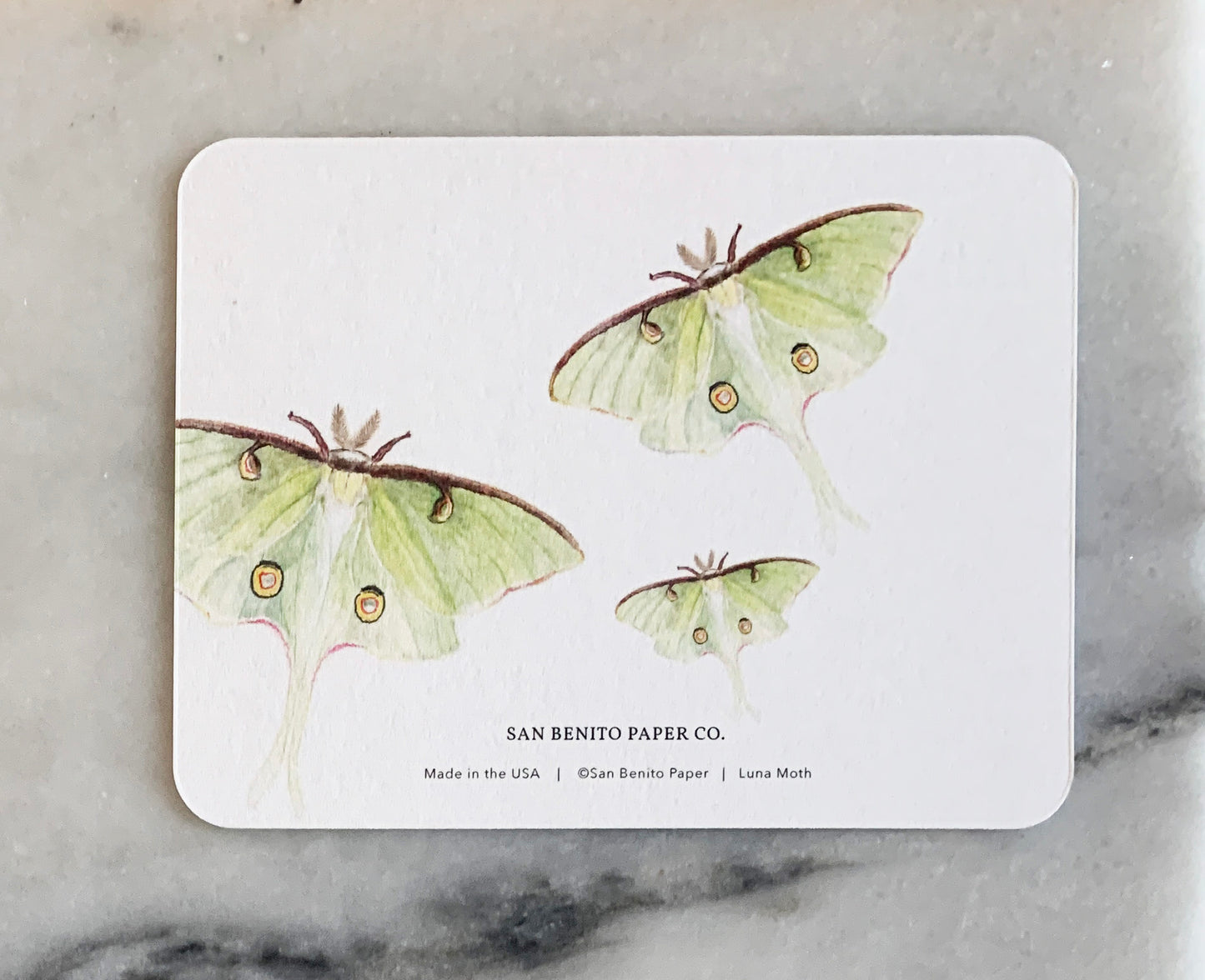 Luna Moth Card