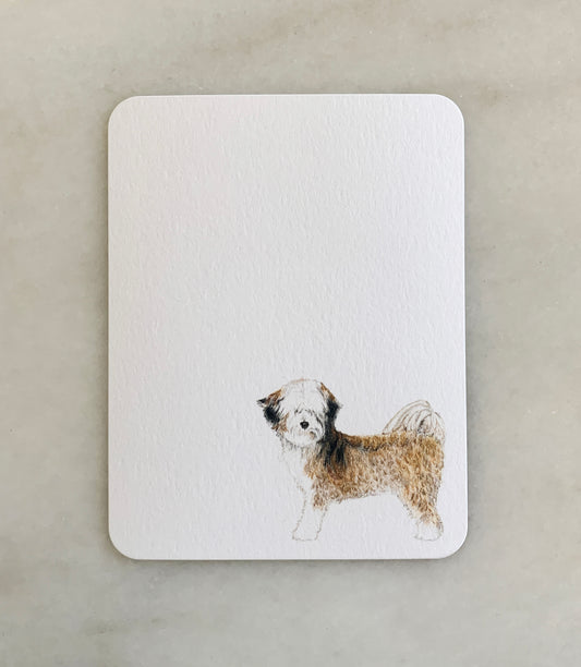 Tibetan Terrier Card