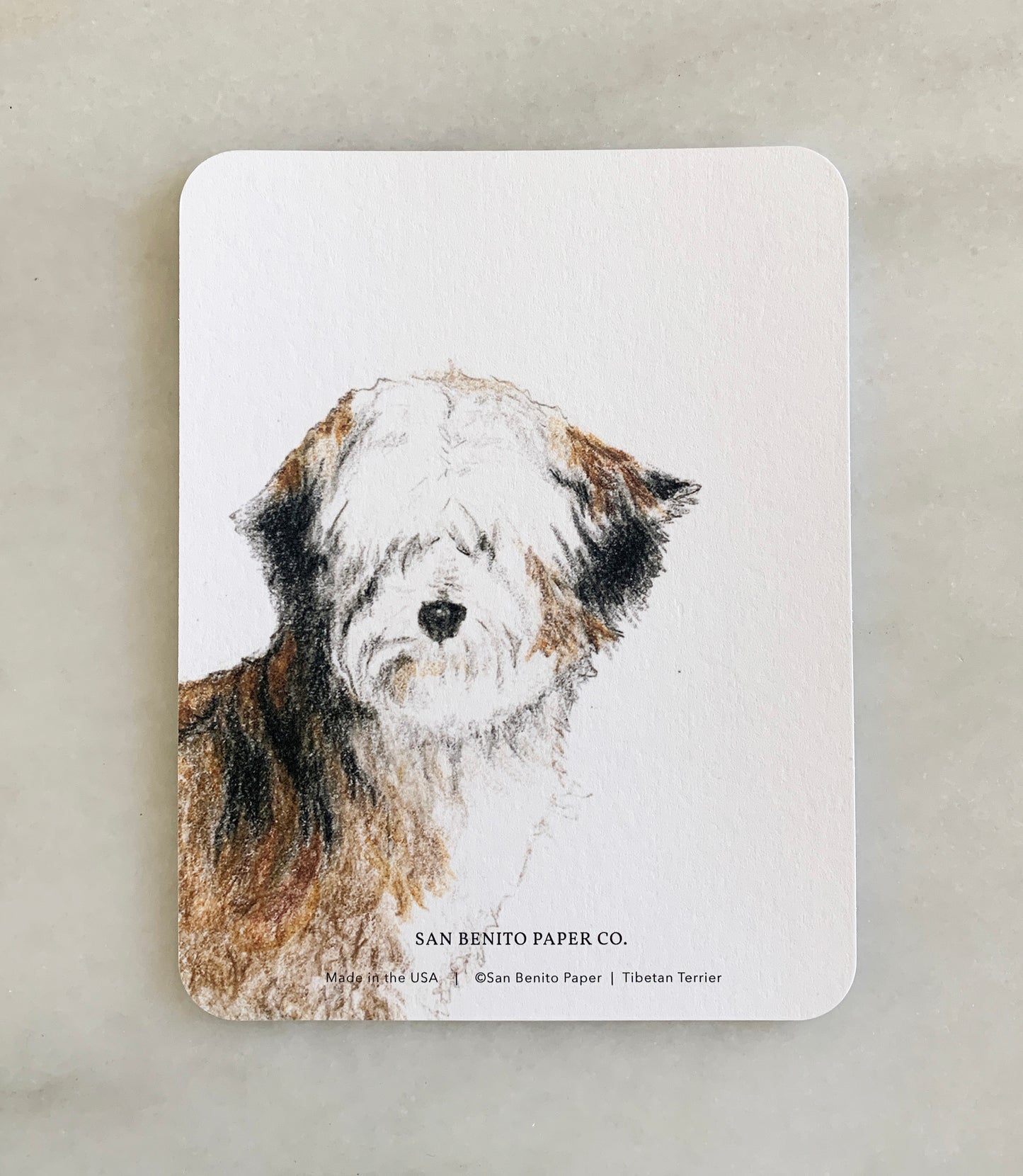 Tibetan Terrier Card