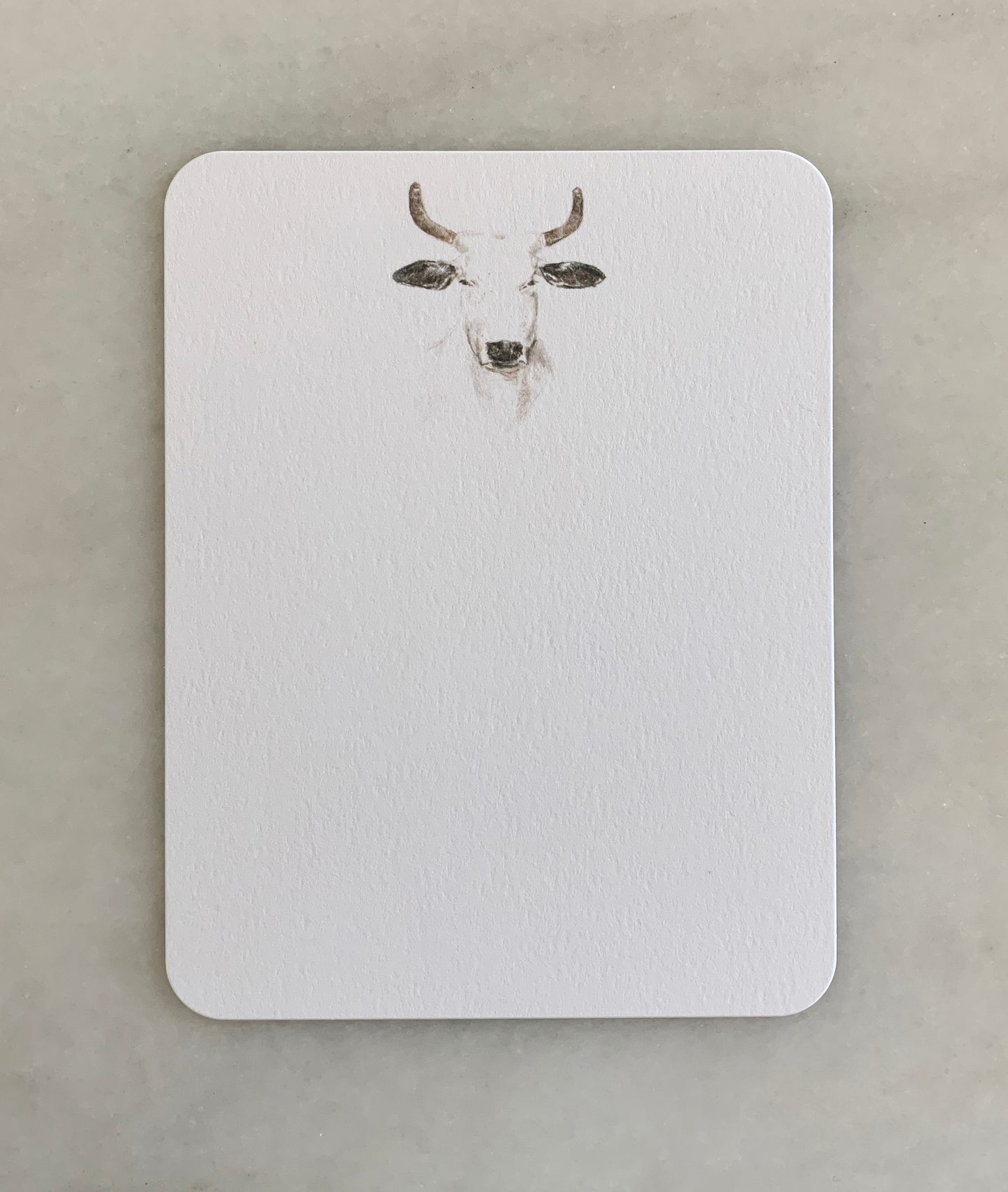 White Longhorn Card