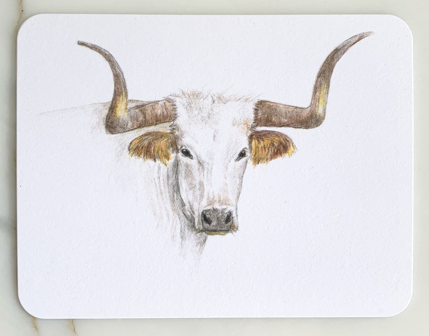 White Park Longhorn Card