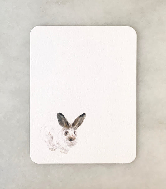 Bunny Card